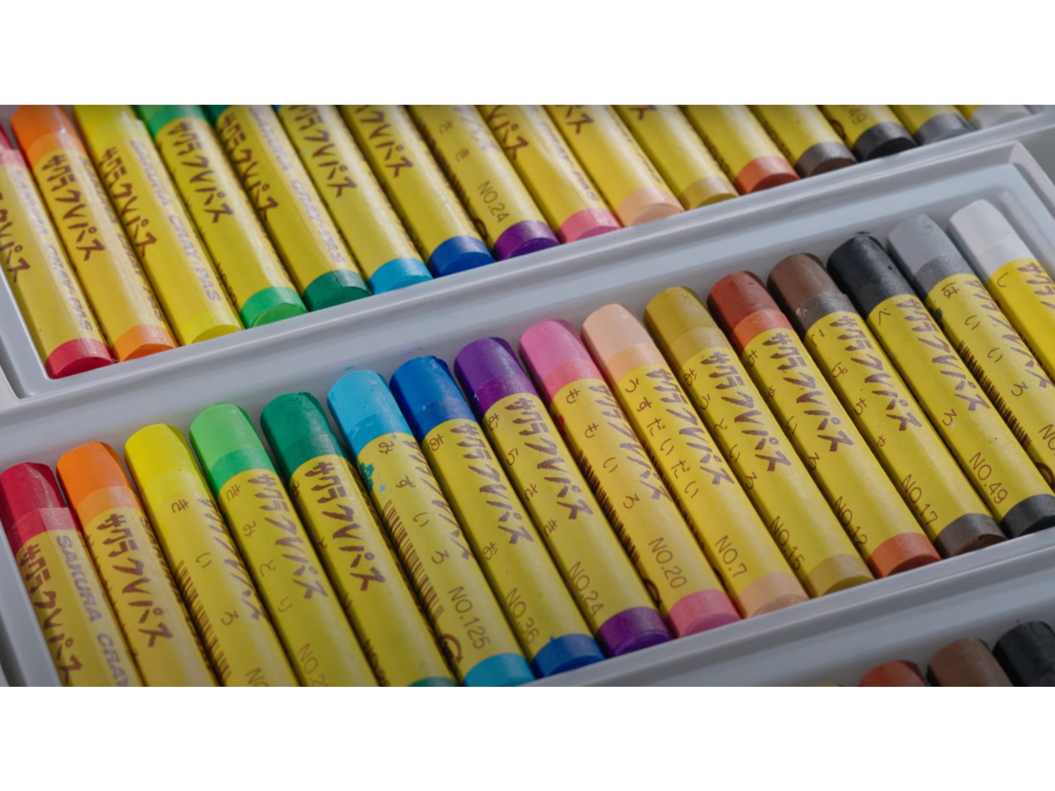 16 Color Oil Pastel Set Sakura Craypas FP16 Just No Craypas - 16